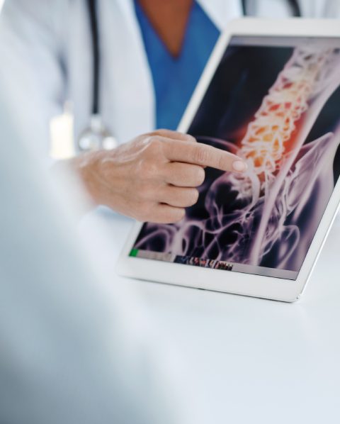 spinal-cord